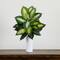 20" Artificial Golden Dieffenbachia Plant, 6ct.